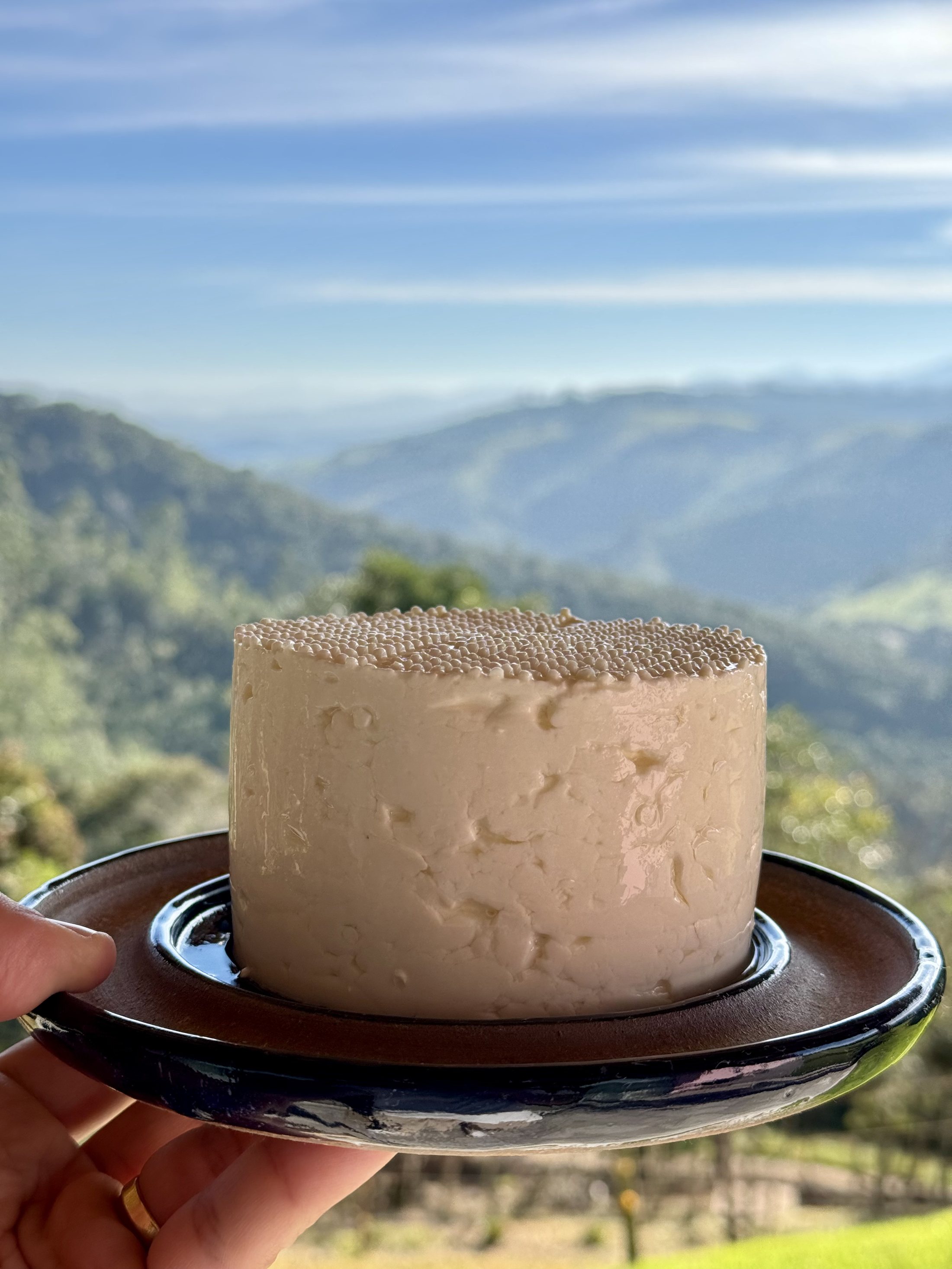Queijo branco artesanal Dimaria, feito à mão, com vista para a Serra do Mar em Cunha, SP