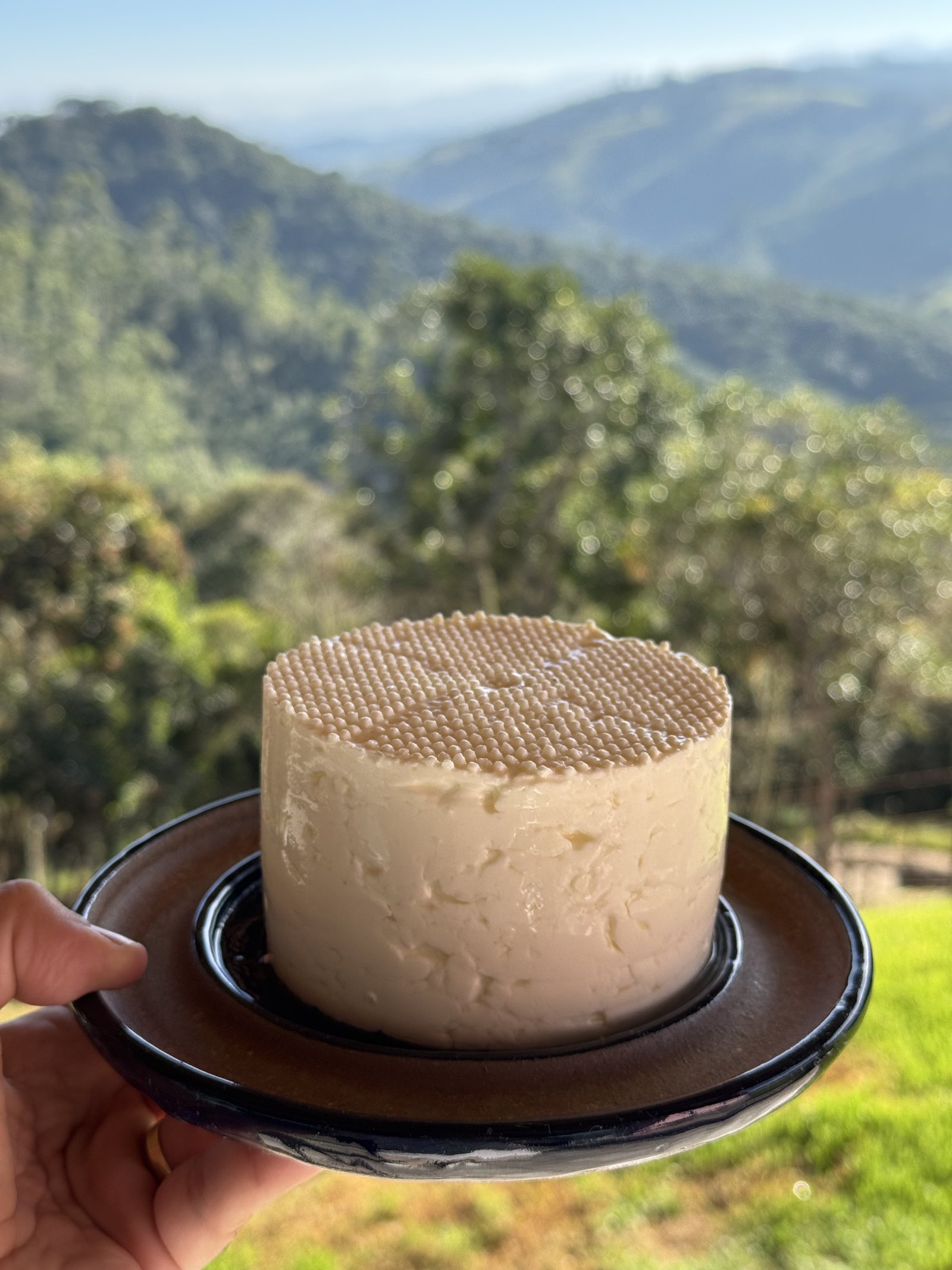Queijo branco artesanal Dimaria com vista para a Serra do Mar