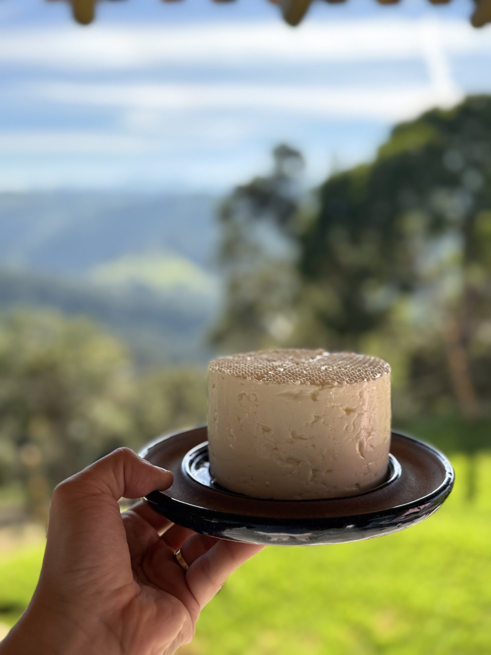Queijo branco Dimaria em ambiente natural na Serra do Mar